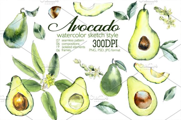 Avokado. Watercolor Set