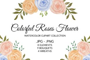 Colorful Rose Flower Watercolor Clipart and Illustrations