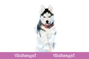 Siberian Husky Watercolor Art and Illustrations