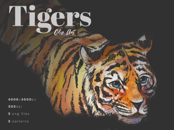 Tigers Watercolor Clip Art Patterns and Illustrations