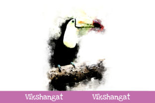 Toucan Bird Watercolor Art Illustrations