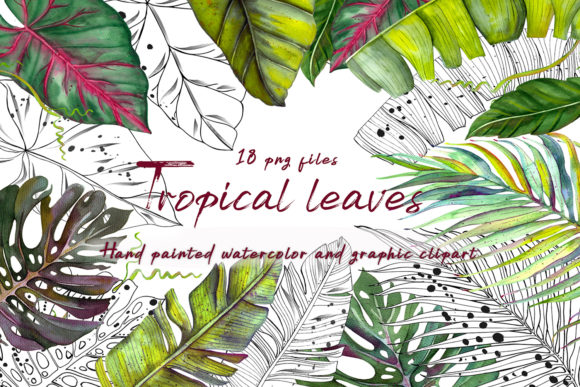 Tropics Watercolor and Graphic Clipart