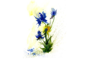 Watercolor Abstract Flowers Illustrations