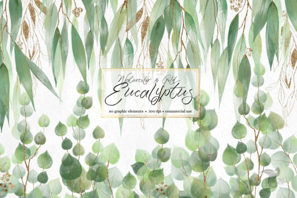 Watercolor and Gold Eucalyptus Clipart and Illustrations