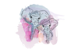 Watercolor Elephant Illustrations