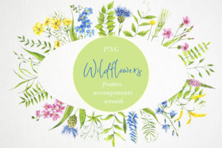 Watercolor Flower Clipart. Wildflowers. Illustrations