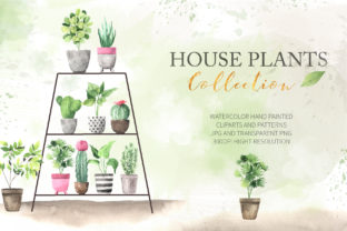 Watercolor House Plants Collection & Illustrations