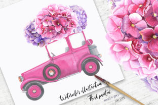 Watercolor Hydrangea Illustration and Illustrations