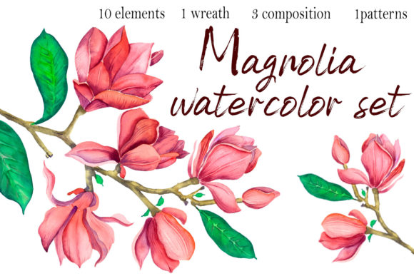 Watercolor Magnolia Flowers Clipart