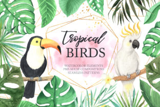 Watercolor Tropical Birds Set for Illustrations