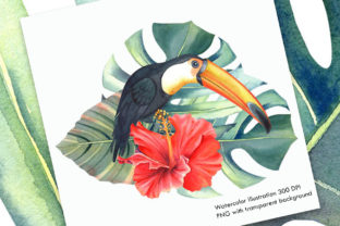 Watercolor Tropical Illustration I and Illustrations