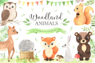 Watercolor Woodland Animals Set and Illustrations